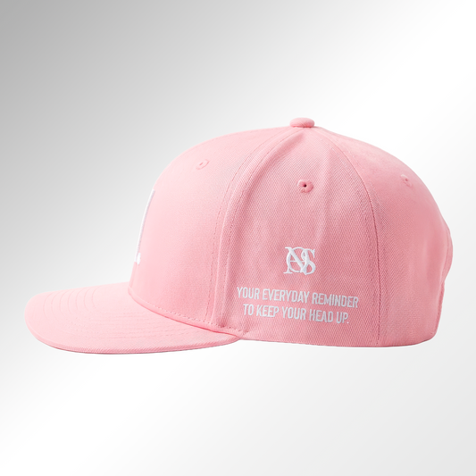 Quiet Reminder flat brim Embroidered Cap