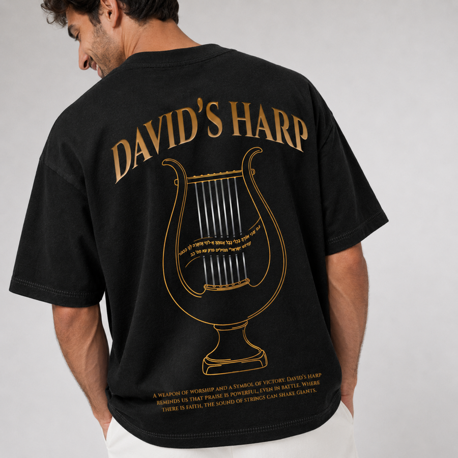 Mid-Oversized David's Harp T-Shirt