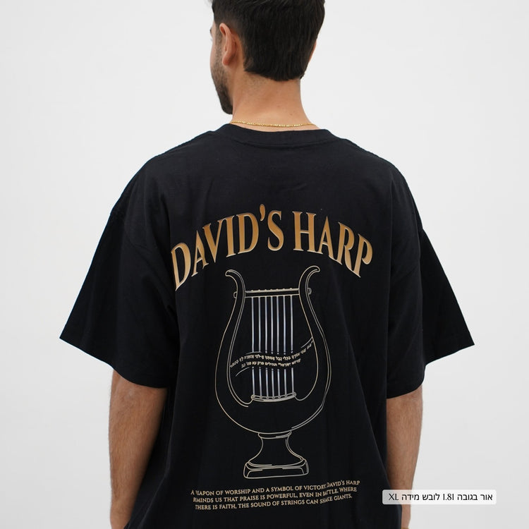 Mid-Oversized David's Harp T-Shirt