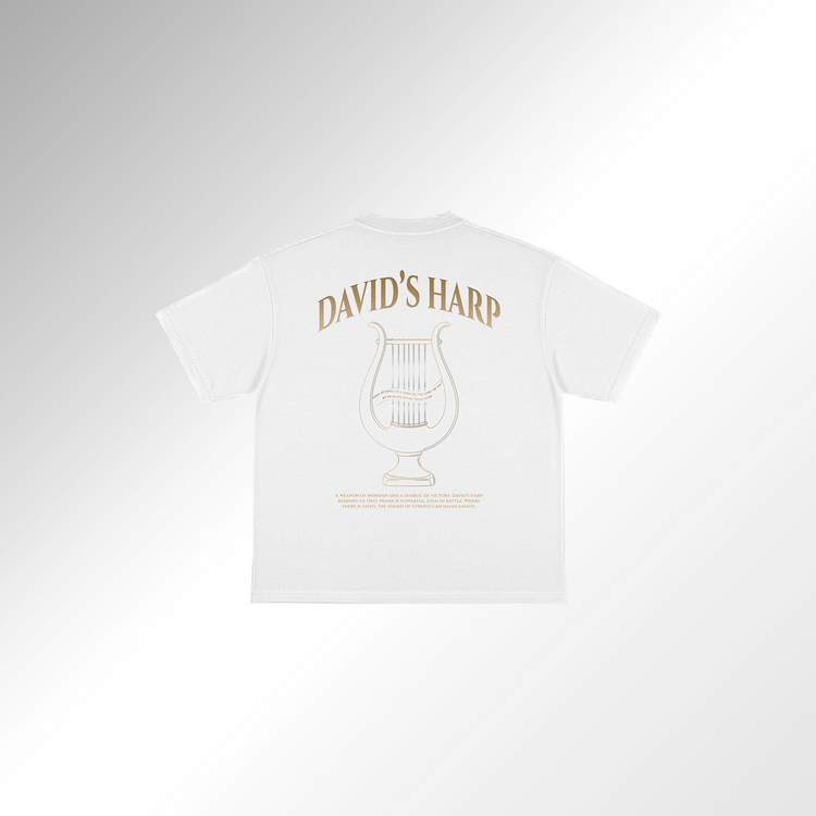 Mid-Oversized David's Harp T-Shirt