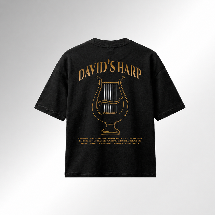 Mid-Oversized David's Harp T-Shirt