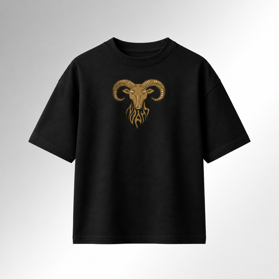 Aries Heritage Oversized T-Shirt