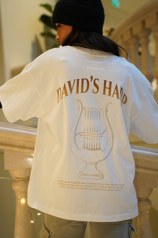 דוד והנבל: המוזיקה שמרגיעה נפש מתורגמת לעיצוב