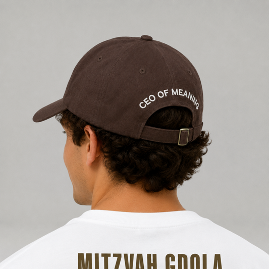 Ceo of meaning-Embroidered Cotton Cap