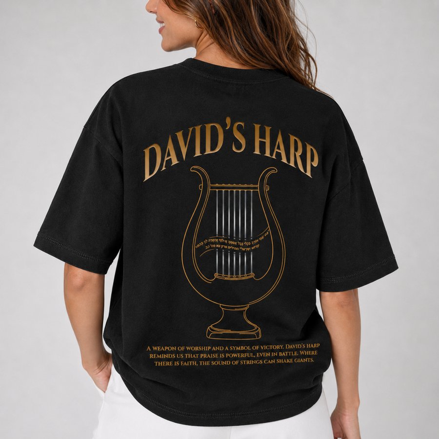 Mid-Oversized David's Harp T-Shirt