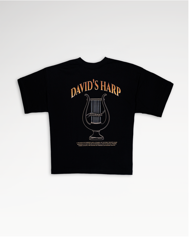 Mid-Oversized David's Harp T-Shirt