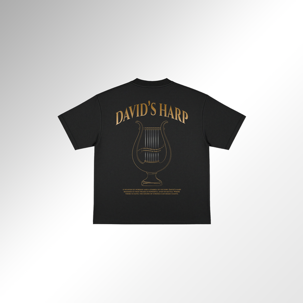 Mid-Oversized David's Harp T-Shirt