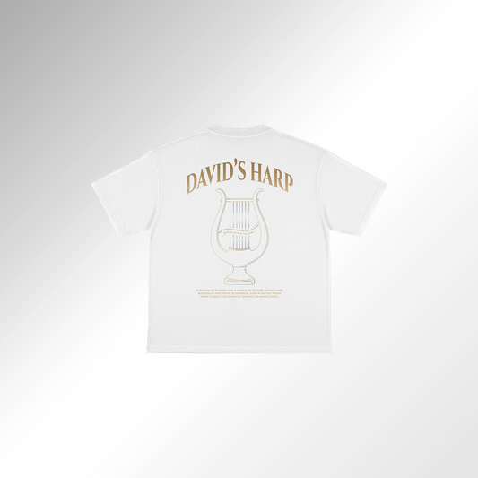 Mid-Oversized David's Harp T-Shirt
