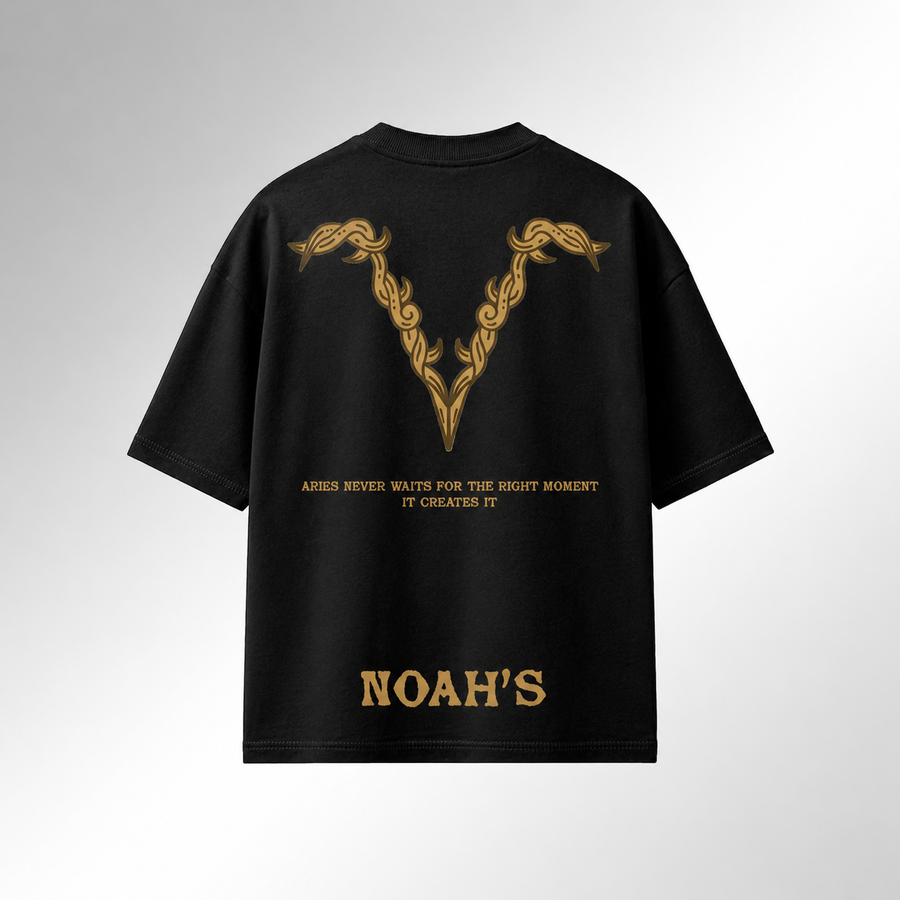 Aries Heritage Oversized T-Shirt