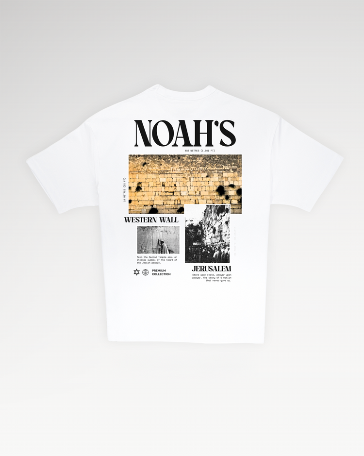 Mid-Oversized Jerusalem taste T-Shirt