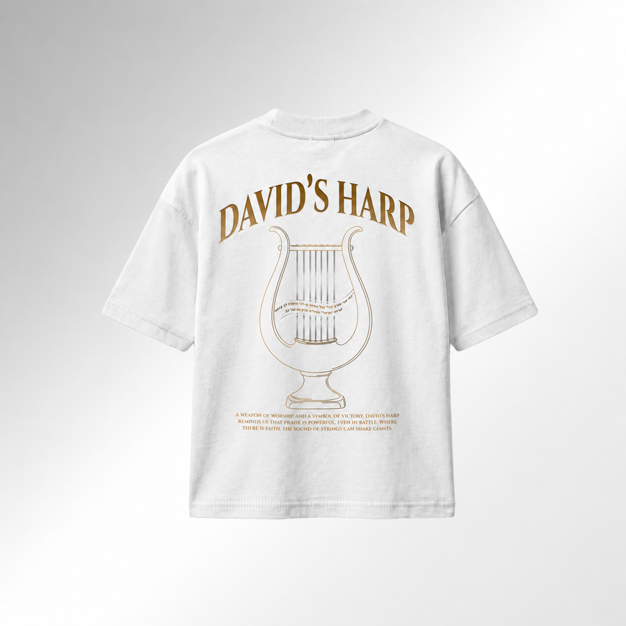 Mid-Oversized David's Harp T-Shirt