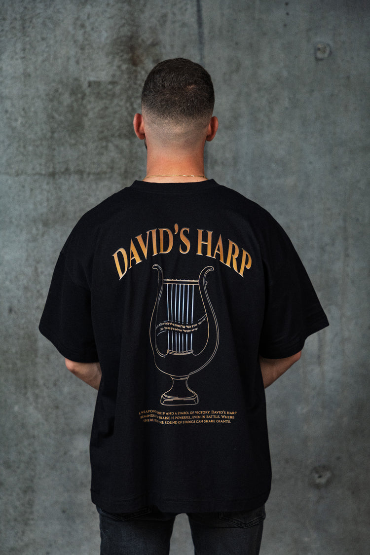 Mid-Oversized David's Harp T-Shirt