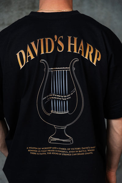 Mid-Oversized David's Harp T-Shirt