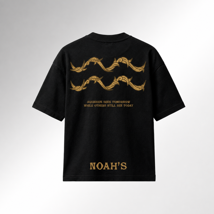 Aquarius Heritage Oversized T-Shirt